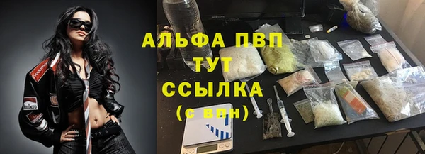 спиды Медвежьегорск
