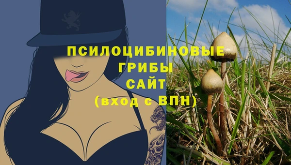 MDMA Михайловск