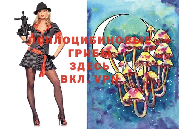 спиды Медвежьегорск