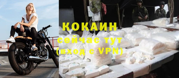 спиды Медвежьегорск