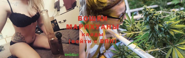 стафф Михайловка