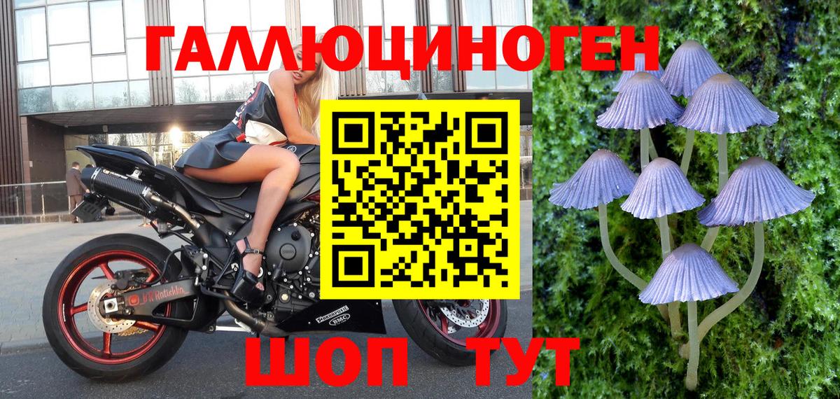 Лабытнанги  Галлюциногенные грибы Cubensis  Вход с VPN 