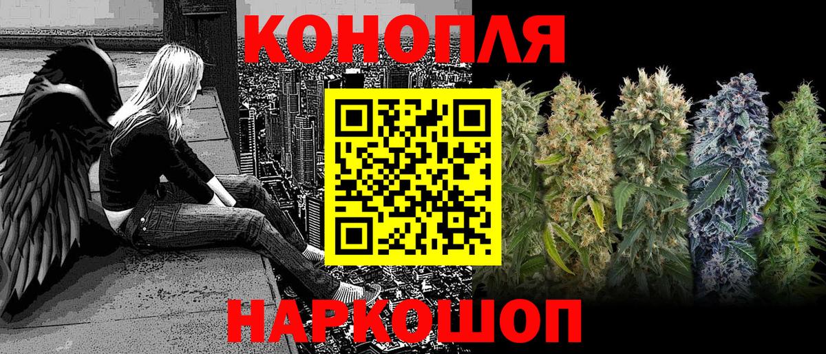Канабис планчик Лабытнанги